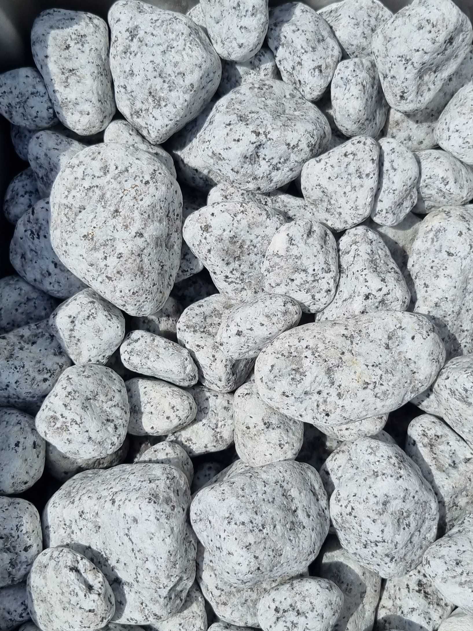 Granit kamień ozdobny  30/60 i 16/32 Dalmatyńczyk granitowy otaczany