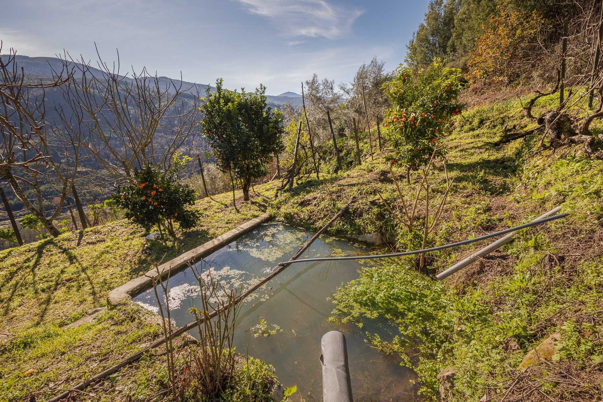 Quinta Rural com casa de campo - 9920 M2 (Vista para Serra da Estrela)