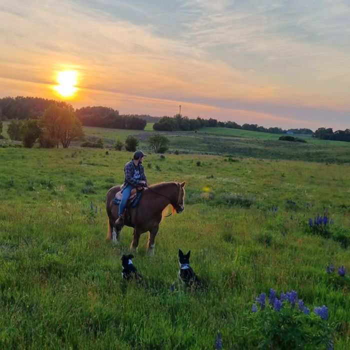 Jazda konna, wyjazdy w teren, mini agro kozy owce