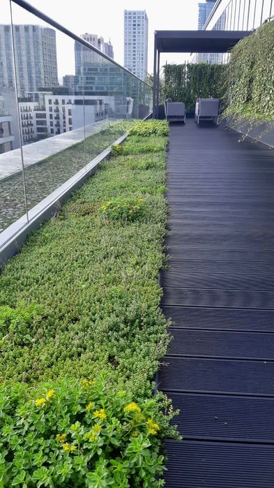 Budowa dachów zielonych / dachy zielone / Dachy ekstensywne