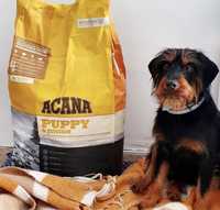Акана - Acana Puppy&Junior Dog 2 кг - 6 кг - 11.4 кг - 17 кг