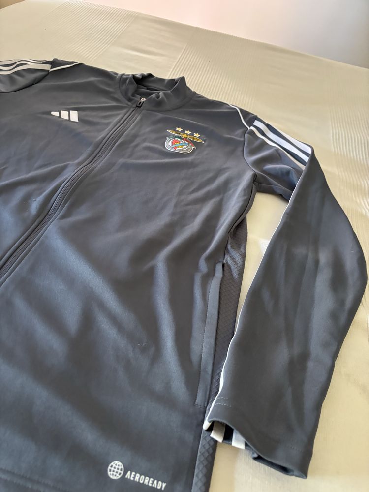 Casaco Adidas Benfica Oficial