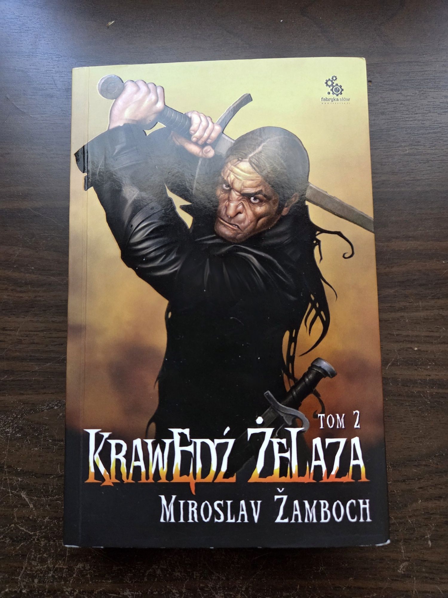 Książka Krawędź Żelaza Tom 2 - Mirosław Zambochh
