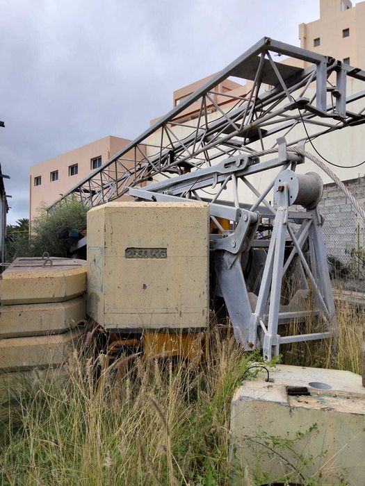 Grua automontante hidraulica