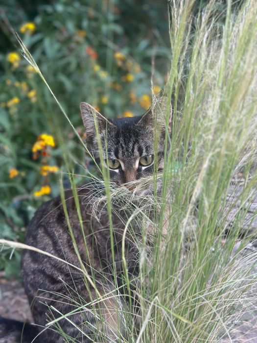 Термінове прилаштування!