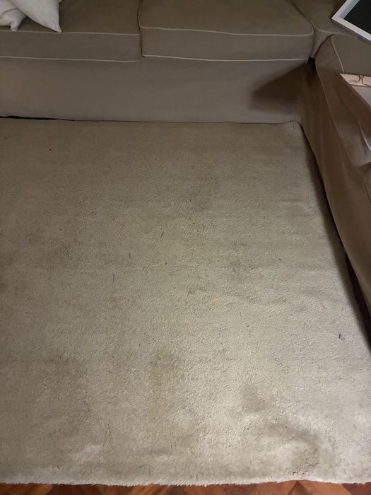 Tapete AREA STORE bege 170x240cm usado