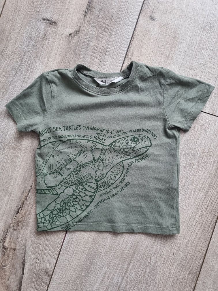 H&M t-shirt żółw 92