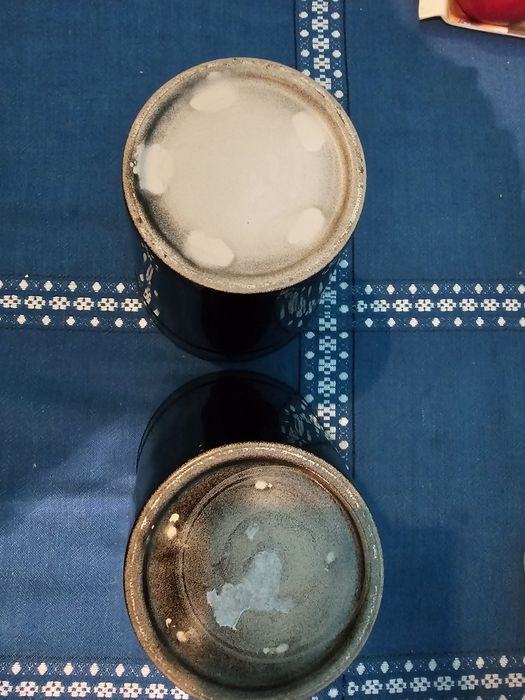 Czarne oslonki na storczyka