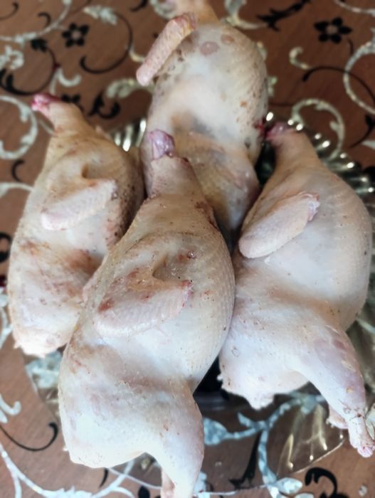 Тушка перепілки. Охолоджене свіже мясо перепілки.