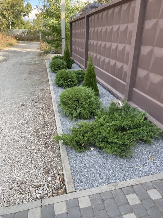 Ландшафтный дизайн,Озеленение,Благоустройство