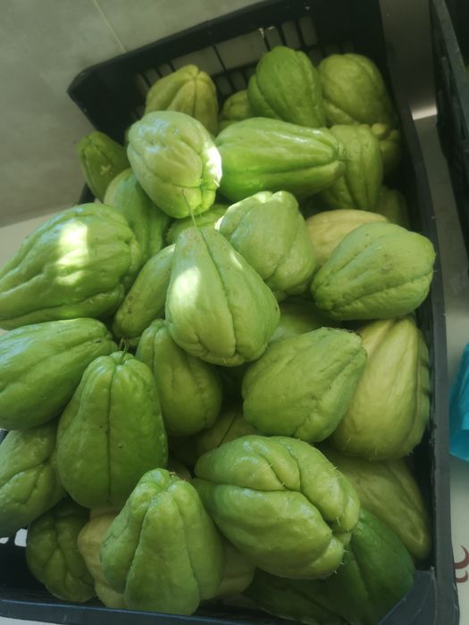 Xuxus produto orgânico