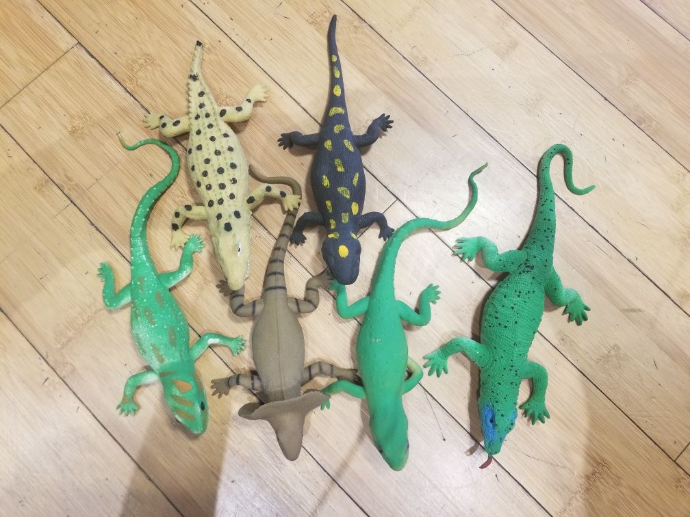 5 jaszczurek i krokodyl