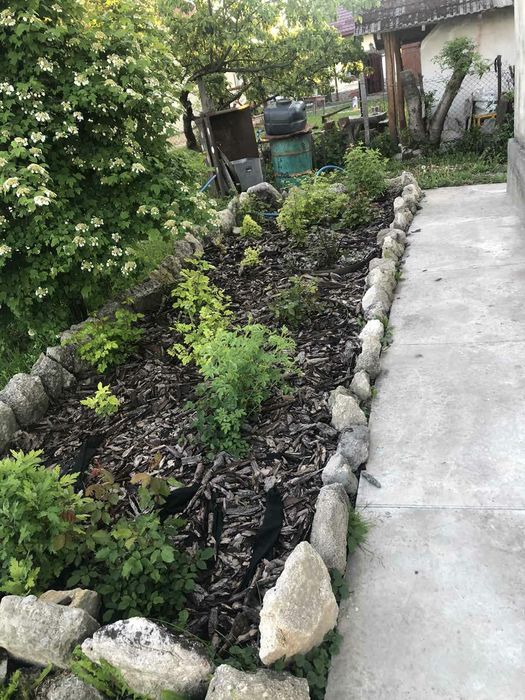 Будинок в селі з земельною ділянкою( с.Підгайчики Золочівський район)