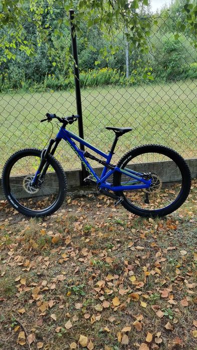 Dartmoor Blackbird Junior 2022