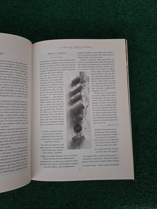 Curso de Vinhos - Jancis Robinson