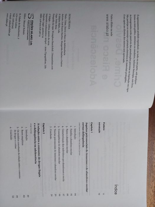 Livro "Crime, desvio e risco na adolescência"