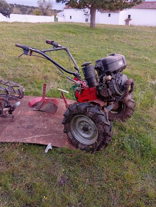Motocultivador lombardini + reboque