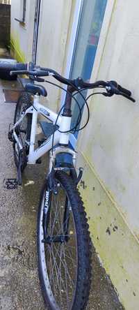 Bicicleta GoldBike (Mountain bike)