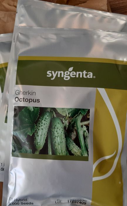 Octopus 5000 nasion ogórków