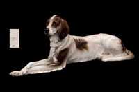 Cão em Cerâmica Austríaca