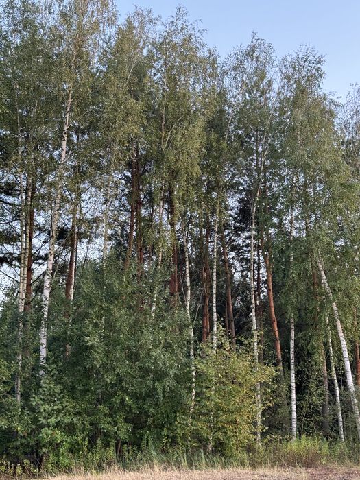Działka na sprzedaż Kajetany gm. Nadarzyn prąd woda blisko