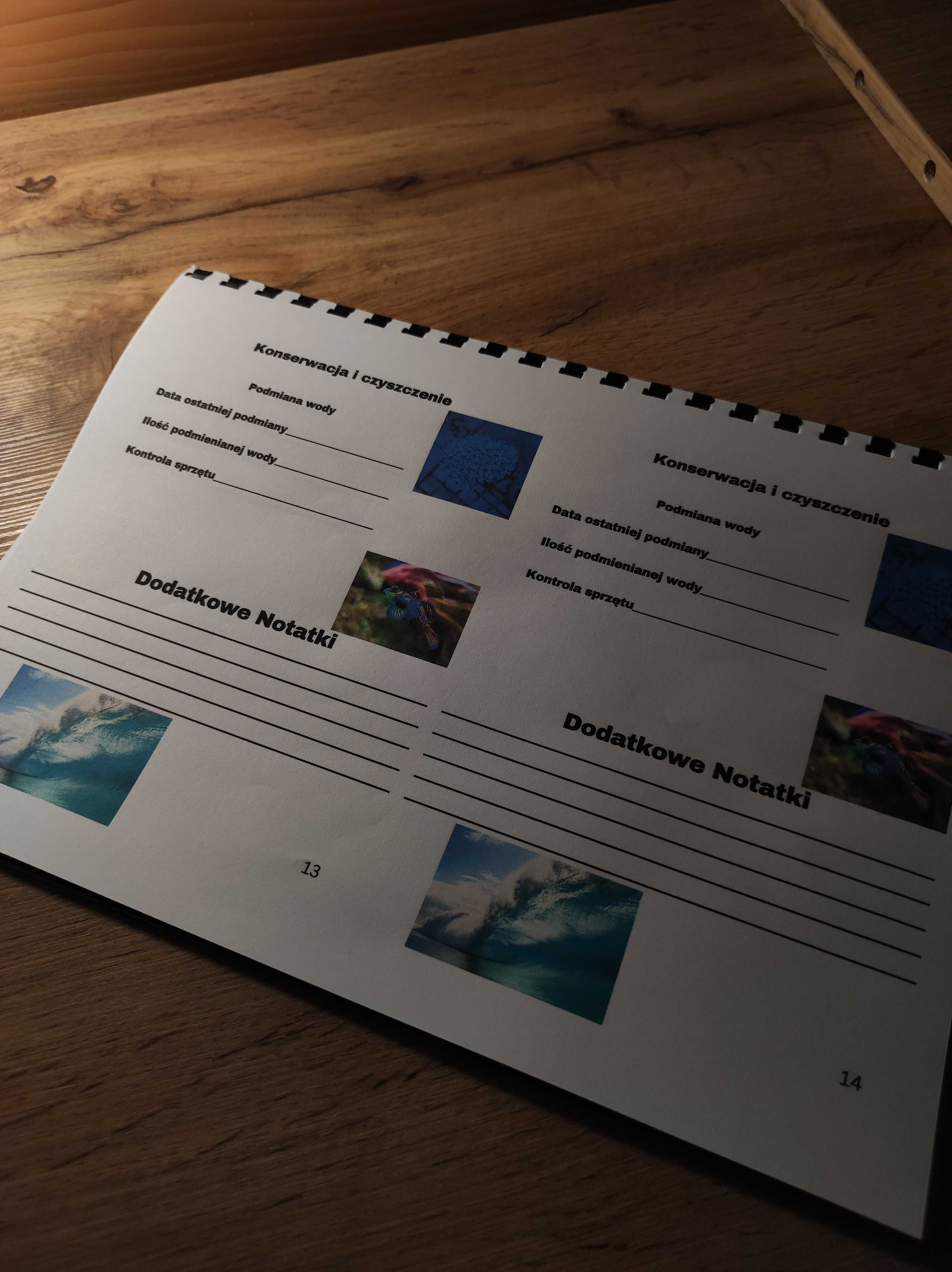 Planner akwarystyczny - akwarium morskie dla początkujących