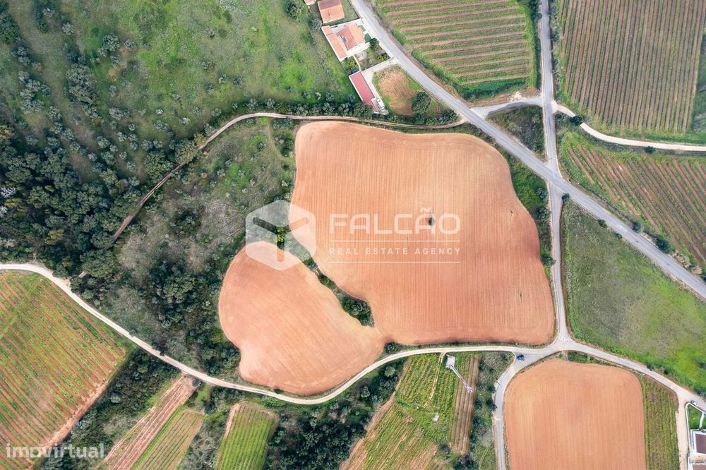Terreno Para Construção  Venda em Abrigada e Cabanas de Torres,Alenque