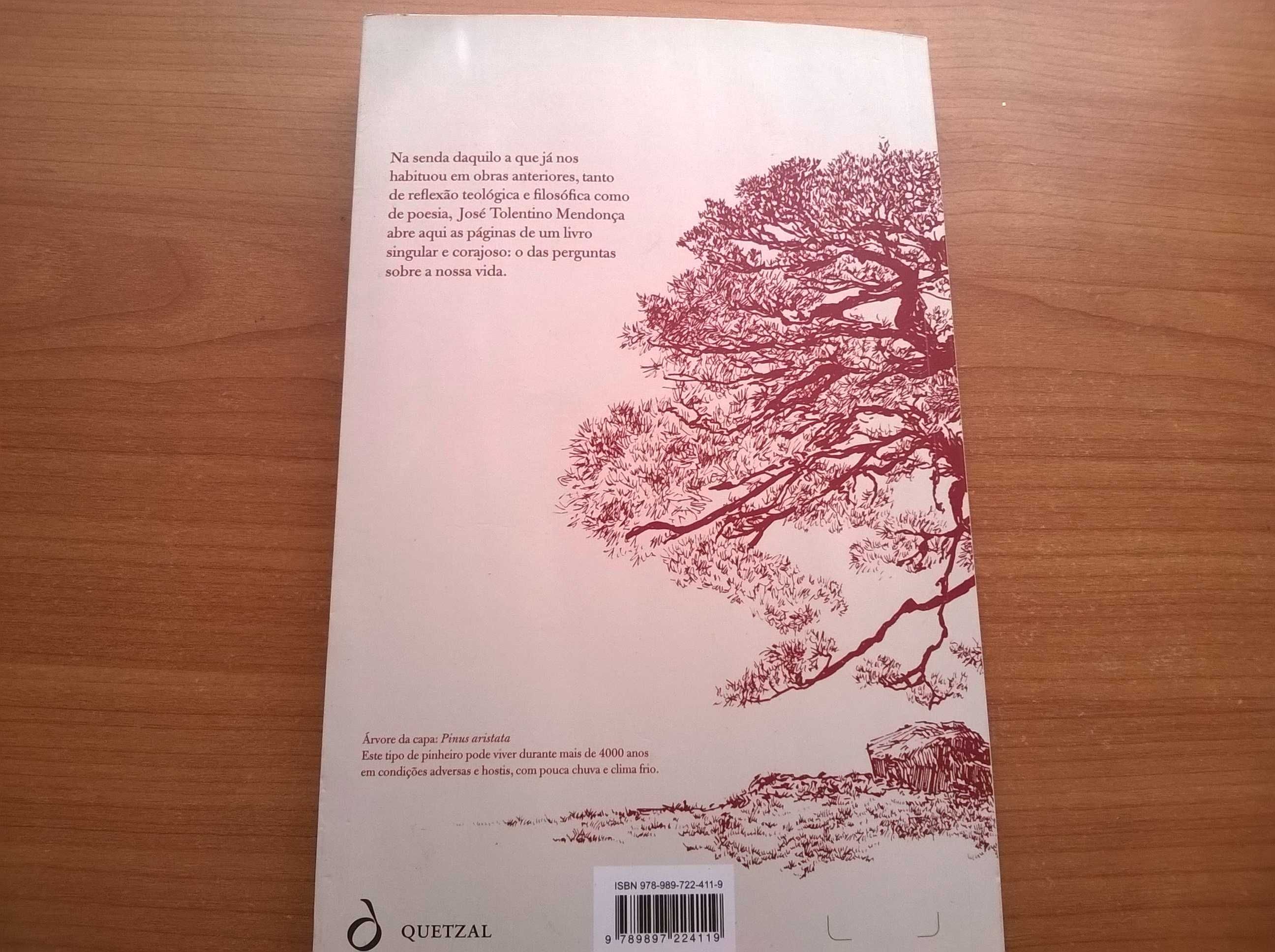 O Pequeno Caminho das Grandes Perguntas - José Tolentino Mendonça