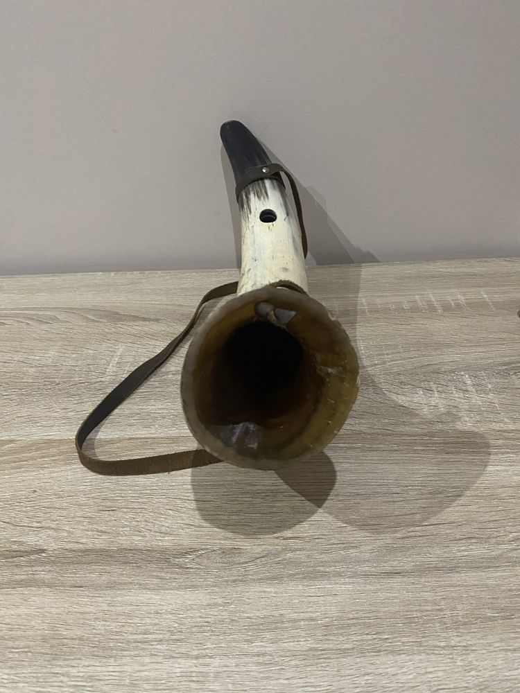 Corno raro de porte grande