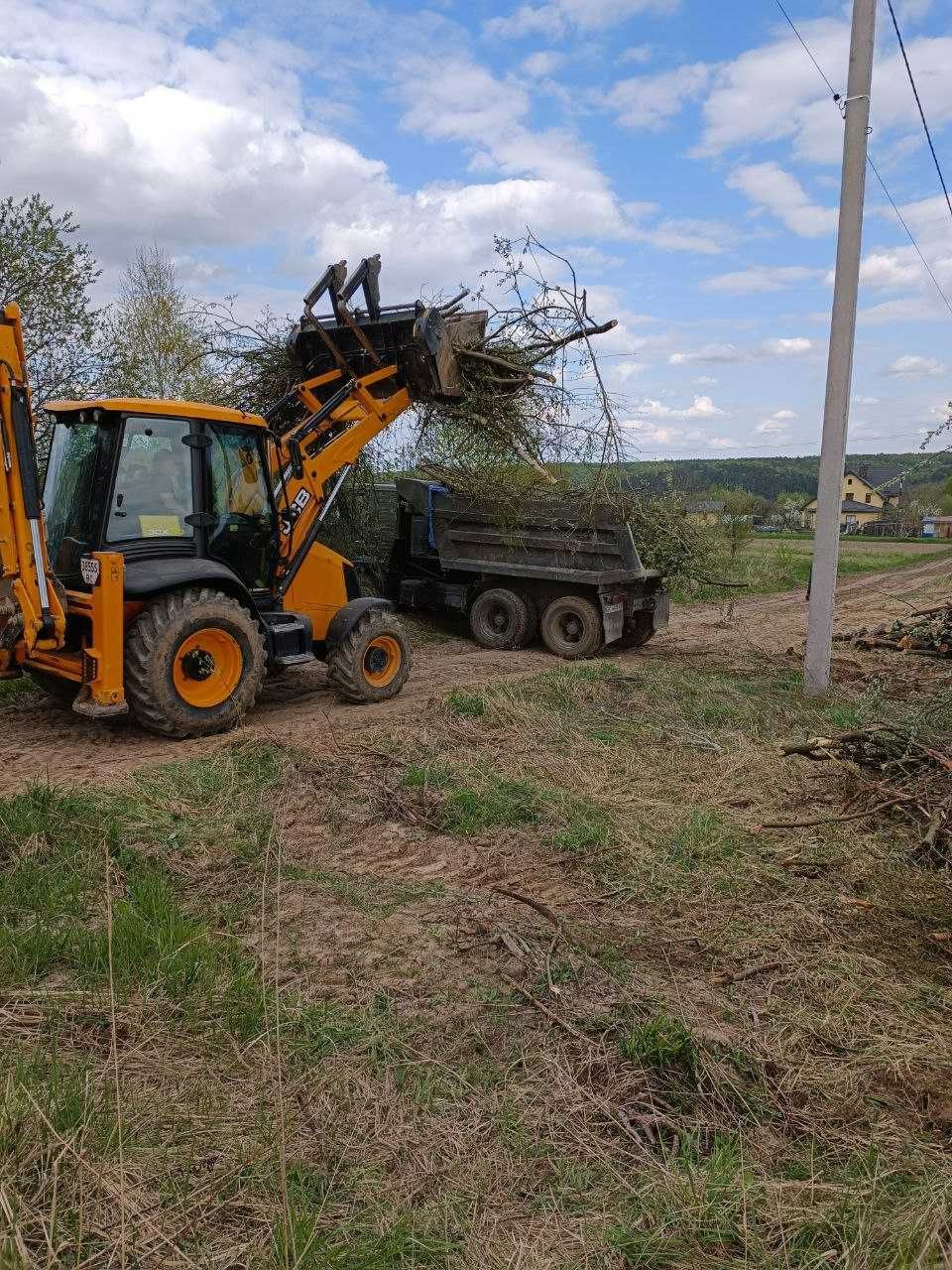 Зрізання дерев. Чистка ділянок. Рубання дров. Демонтажні роботи.