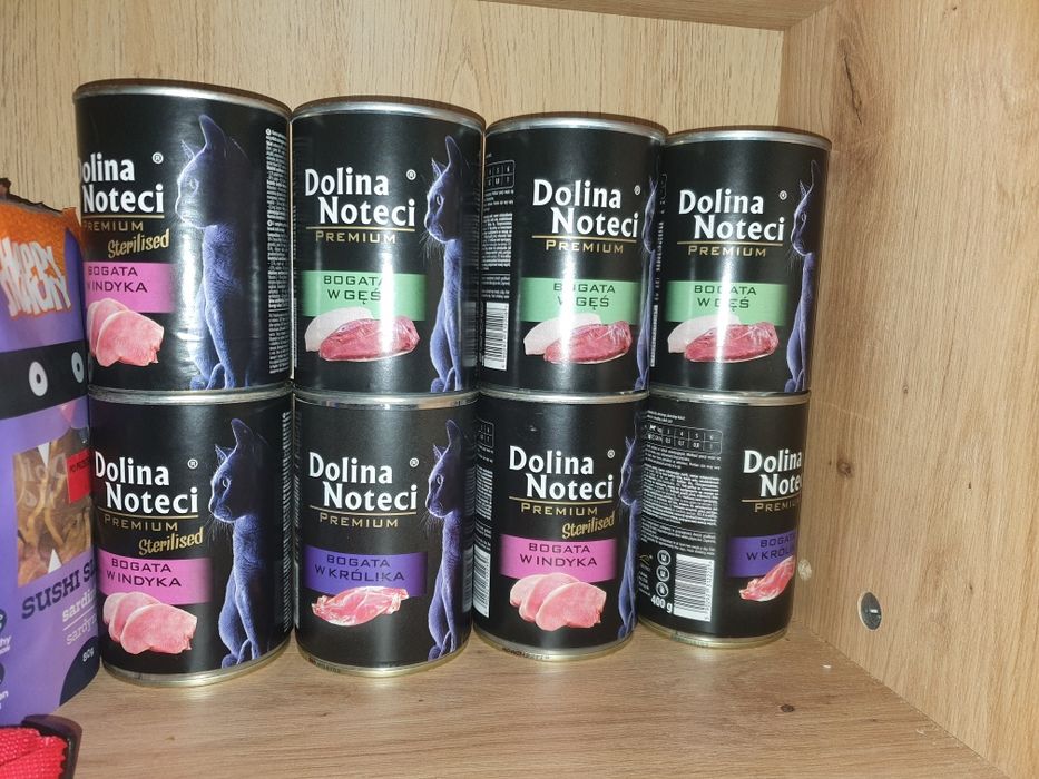 Mokra karma dla kotka