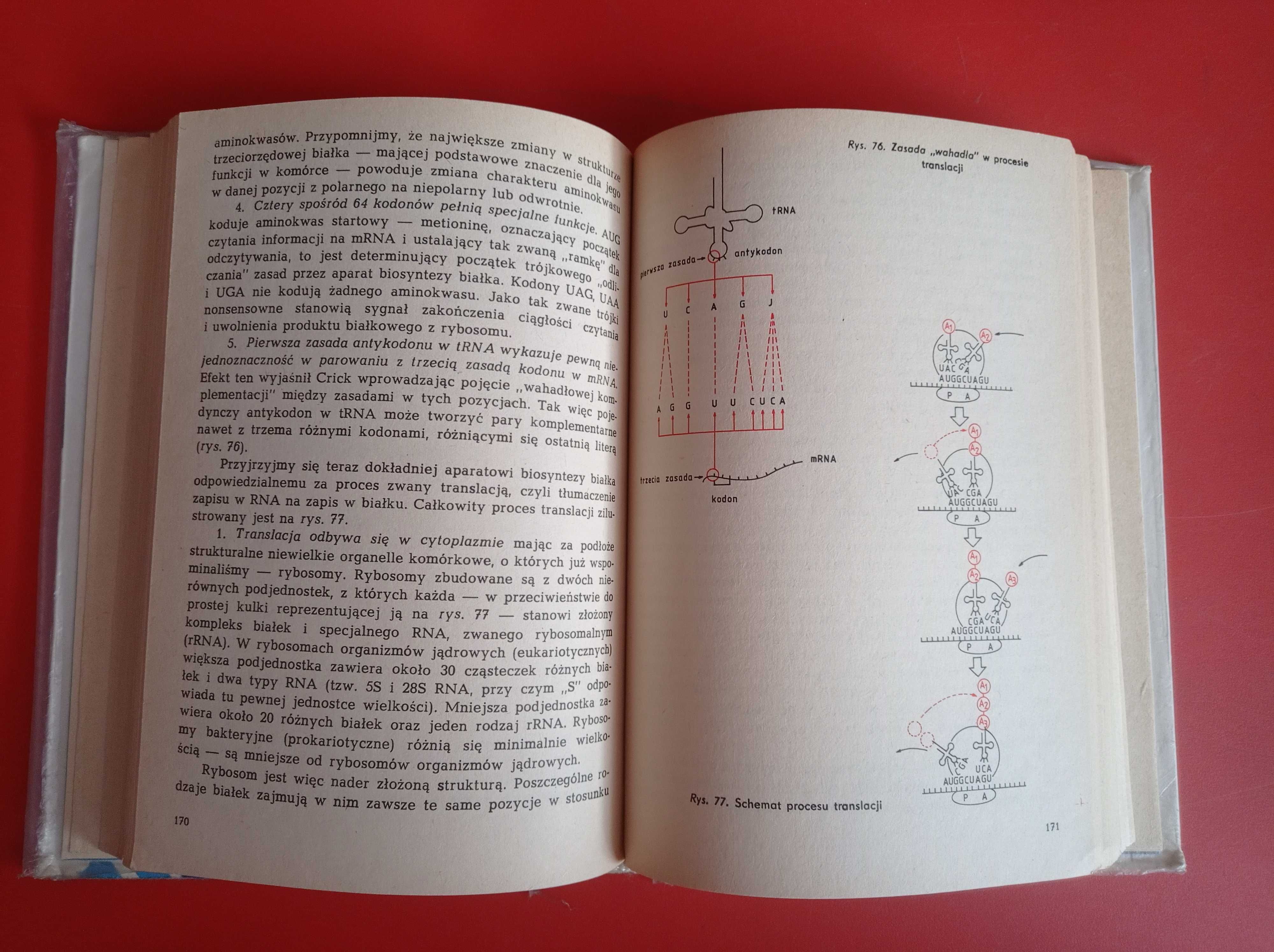 Z biologią za pan brat, Jan Cybis, Andrzej Jerzmanowski, Staroń