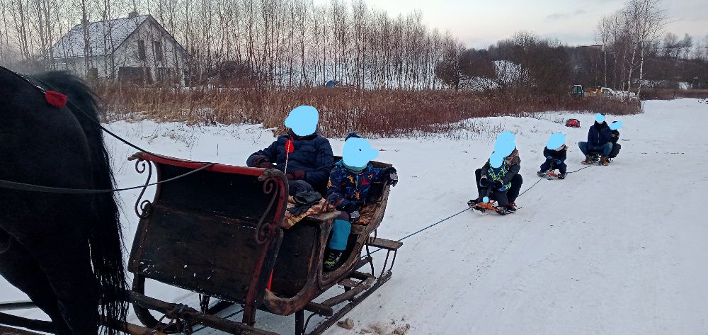 Zabytkowe,kolekcjonerskie sanki,sanie konne z Krakowskiego Rynku