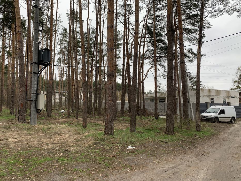 Будинок з великою ділянкою біля лісу Прорізна Буча