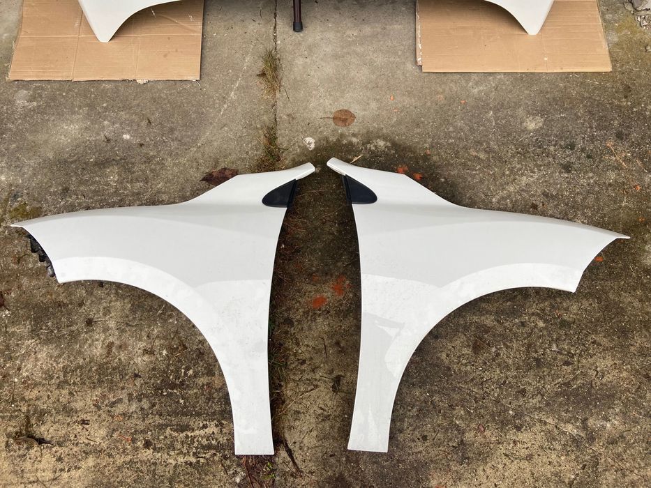 Błotnik przedni prawy/lewy Renault Megane 3 TEB66/TEKNG/TEGNE/OV369