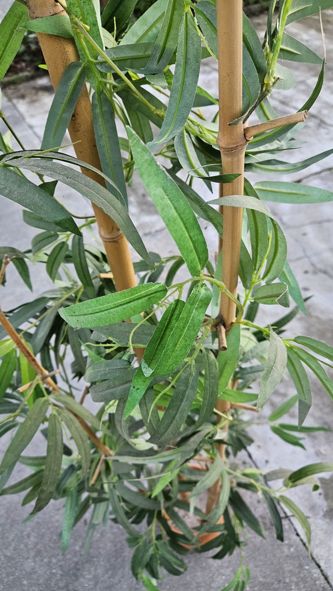 Arranjo decorativo bambu