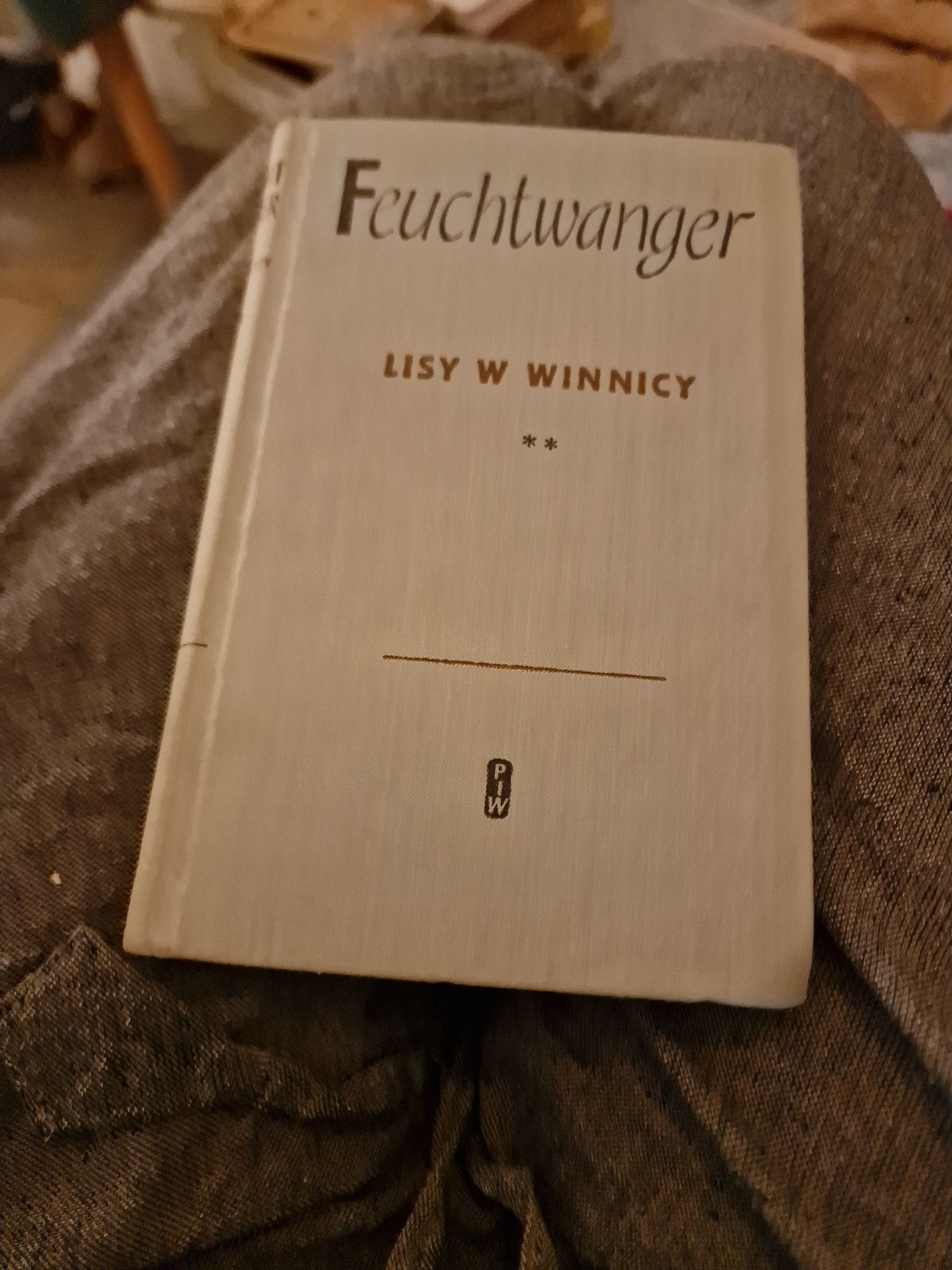 Lisy z winnicy Lion Feuchatwanger