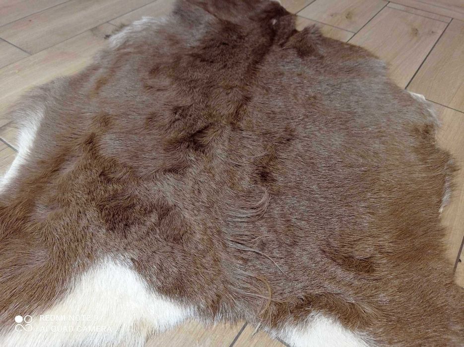 Dywan Skóra z kozy beżowo-brązowa