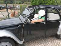 Citroen 2cv descapotável