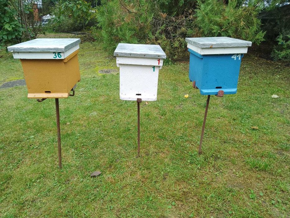 Ulik weselny 4-ramkowy drewniany