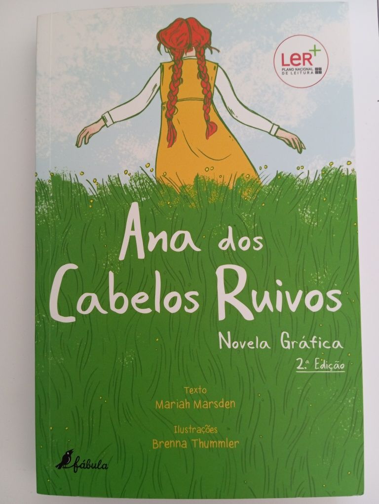 Livro "Ana dos cabelos ruivo" - Novela gráfica novo