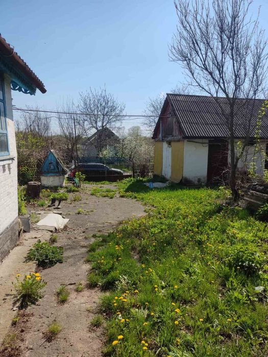 Продаж будинку село Ромашки. Білоцерківський район.