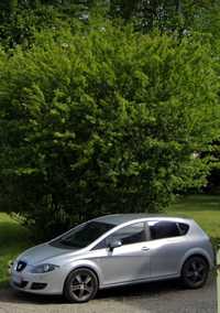 Seat leon 1.9 TDI PREMIUM DSG 2008r