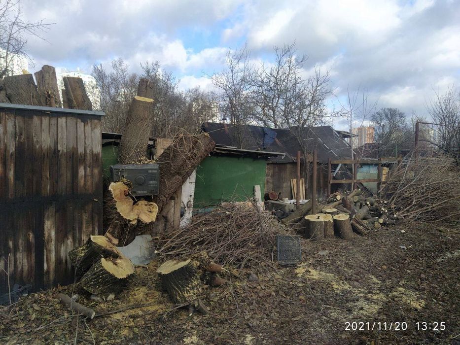 Зрізання дерев, Спил, Кронування, Корчування!