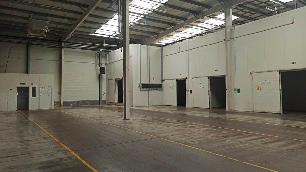 Hala przemysłowa do wynajęcia- Łozienica