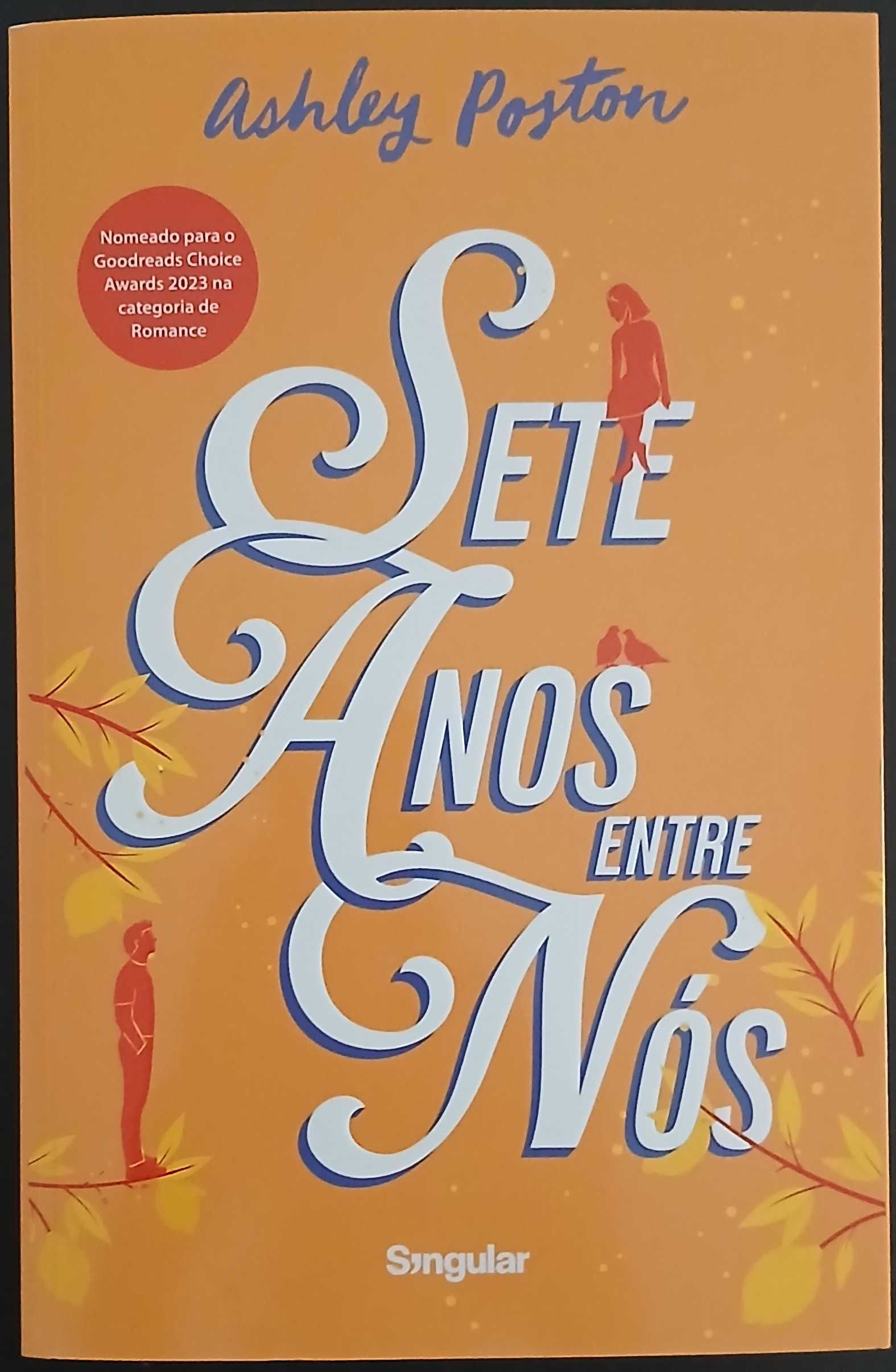 Sete Anos entre Nós (Ashley Poston)