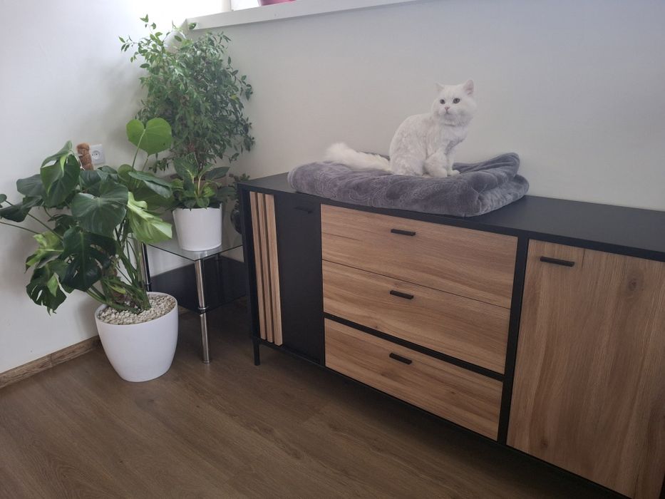 Składanie mebli i demontaż. Kielce, Morawica i okolice do 40 km.