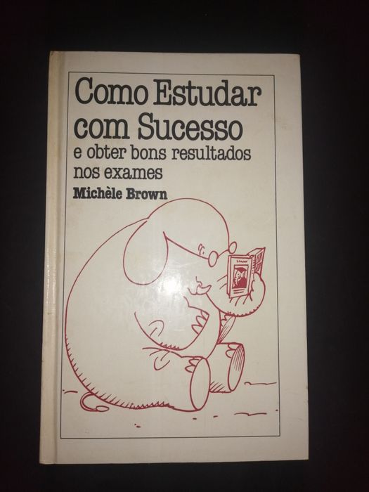 Como Estudar com Sucesso