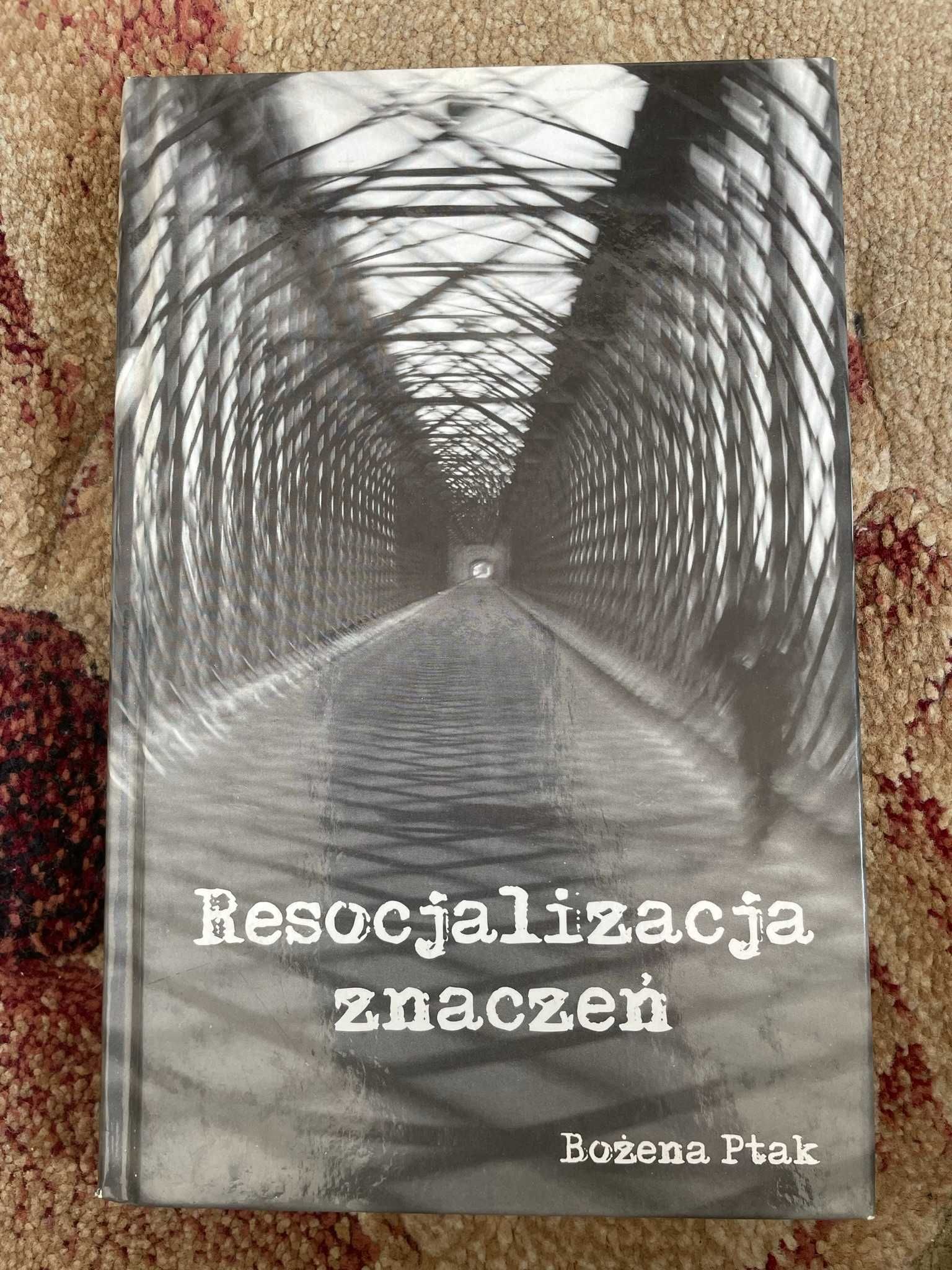 Resocjalizacja znaczeń - Bożena Ptak