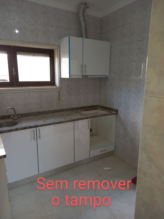 Carpinteiro,mercenaria